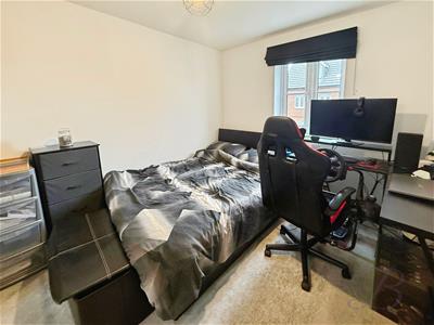 Picture 15